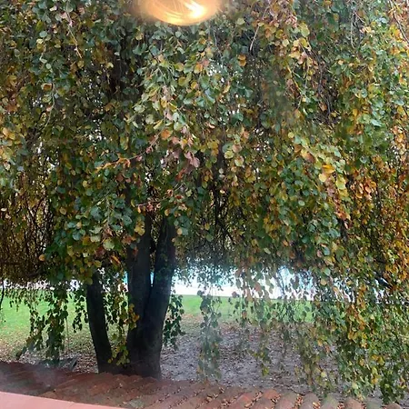 Viridian Bed & Breakfast